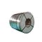 bobina dello strato laminata a freddo bobina di acciaio inossidabile di identificazione ss 316 di 508mm 610mm