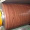 La lamiera rivestita di colore di DX51D ha galvanizzato la bobina d'acciaio d'acciaio della bobina PPGI zinca preverniciato